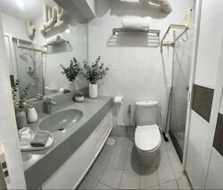 Blk 250C Compassvale Haven (Sengkang), HDB Executive #535285711